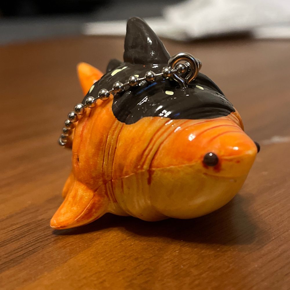 Shark burrito