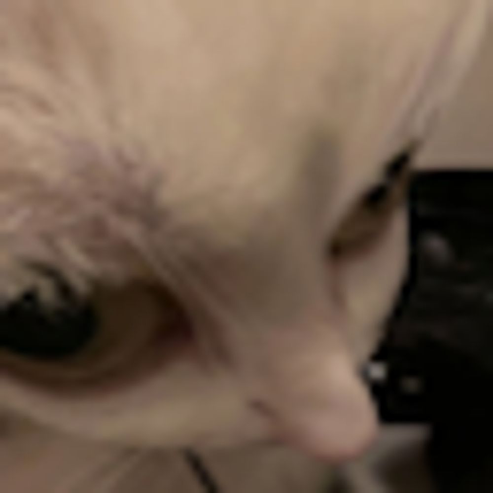 Enge_kat_verhalen