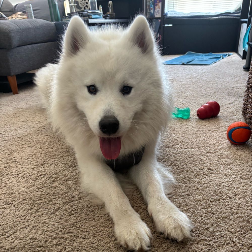 Ellie