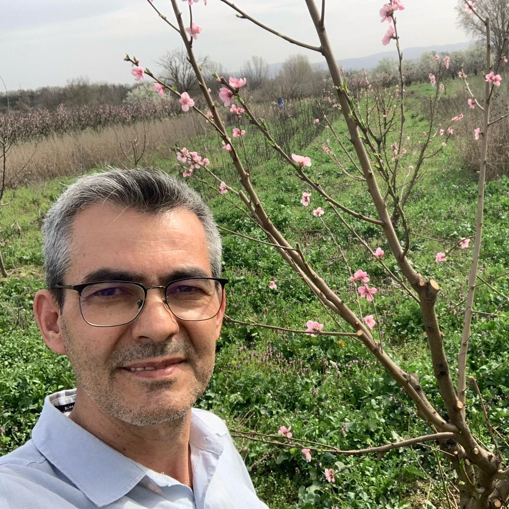 Zafer Opsar