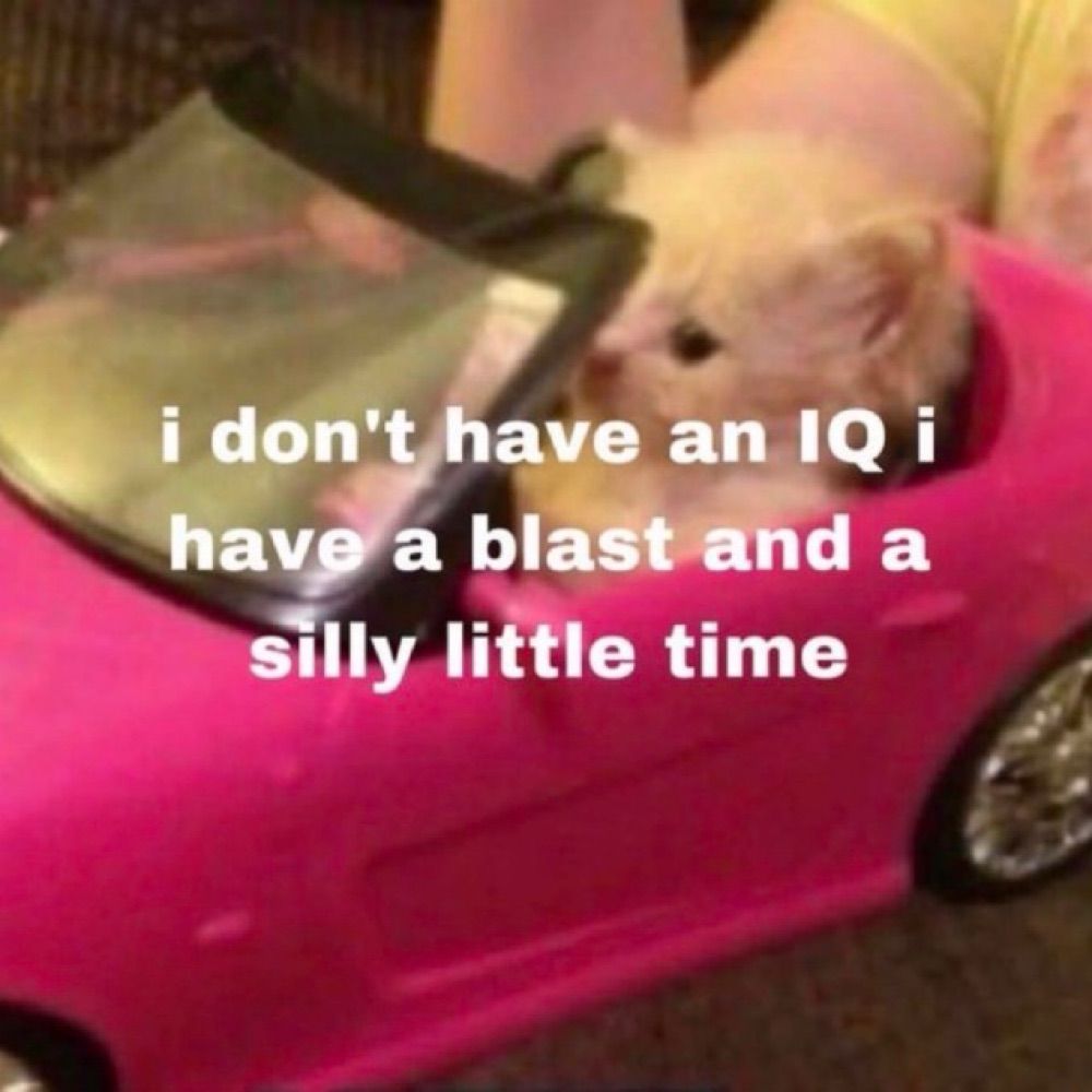Livvy Loo