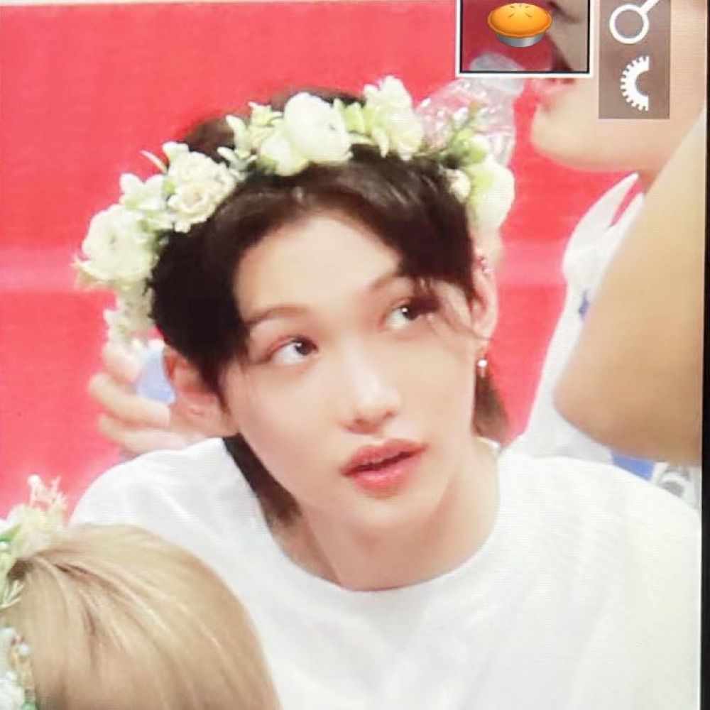 twt @seotski