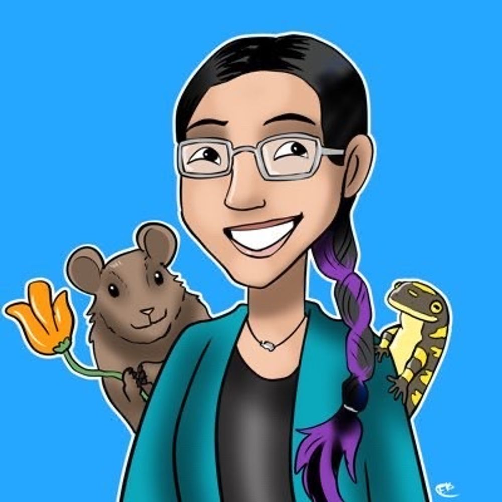 Jessica Castillo Vardaro's avatar