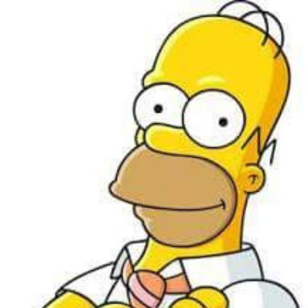Homer Gz