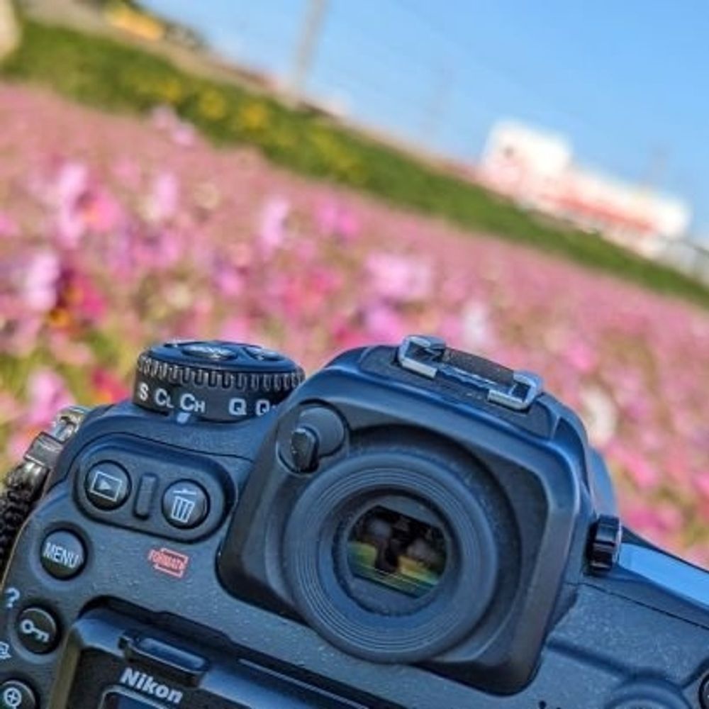 ひさもり