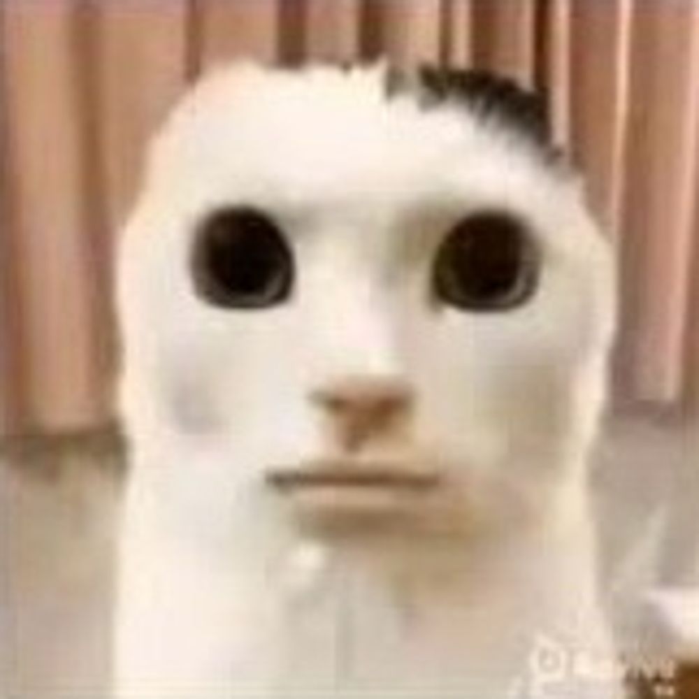 ed