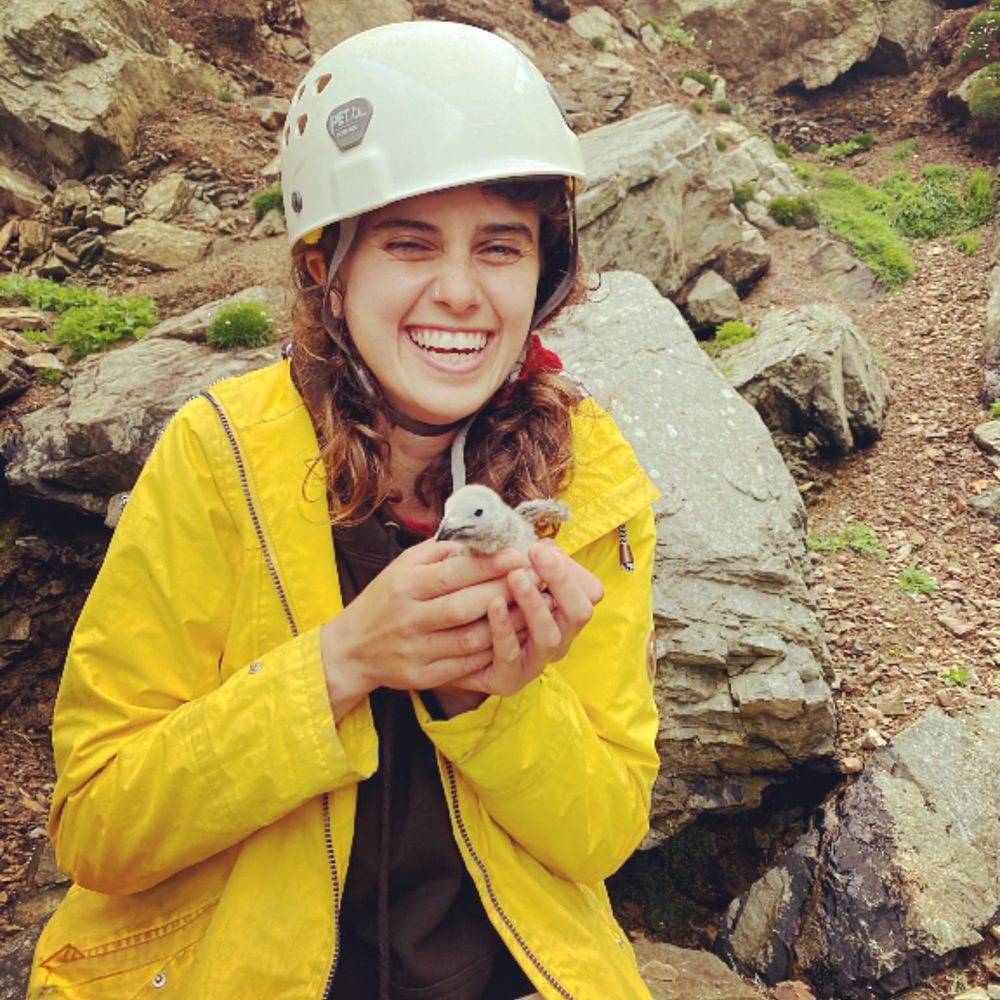 Dr Katrina Siddiqi-Davies