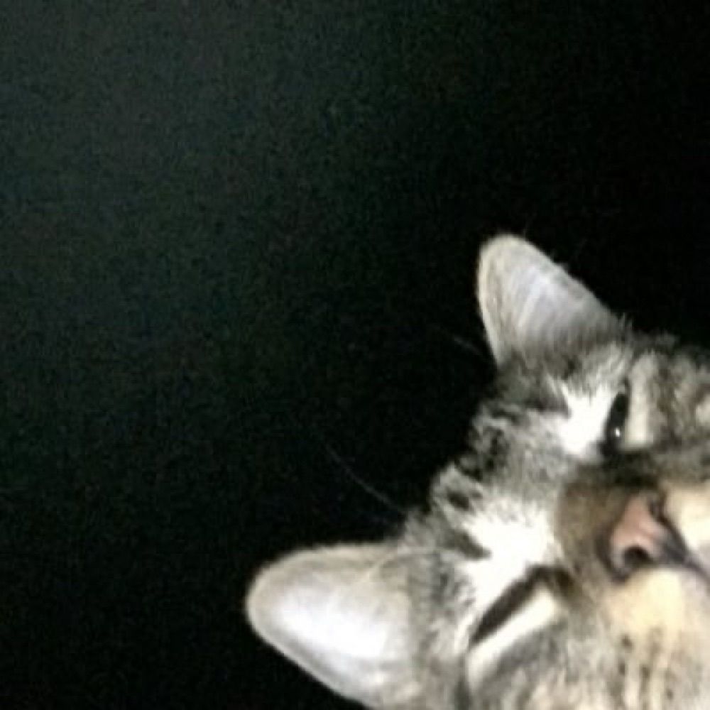 JJ