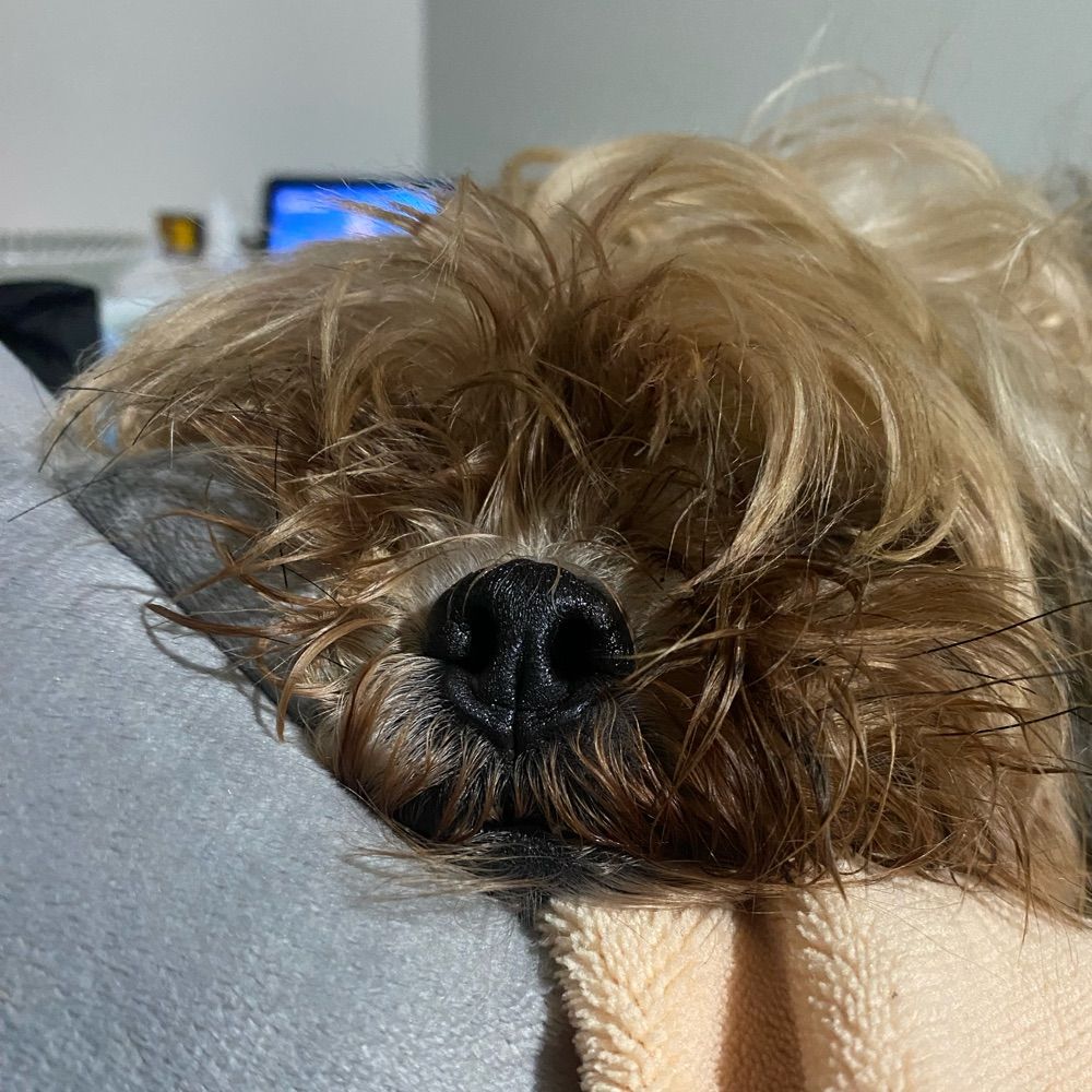 Jú