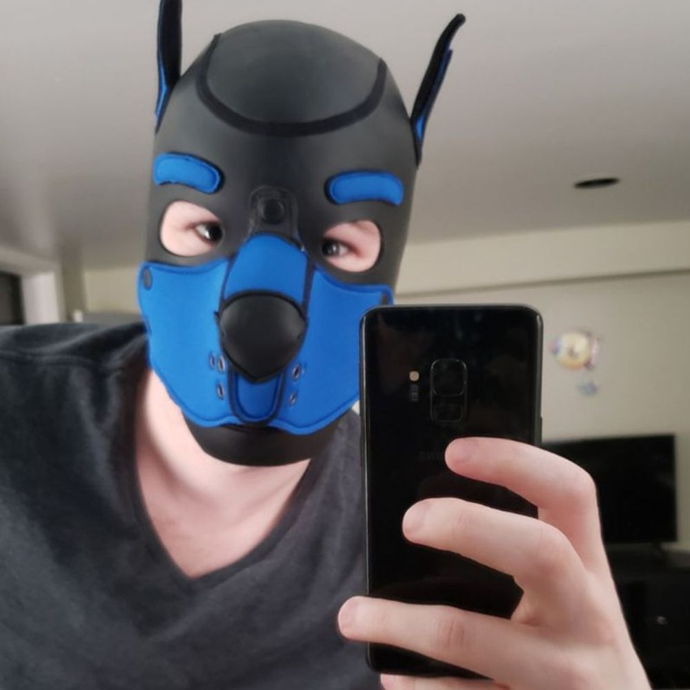 Pup Zero