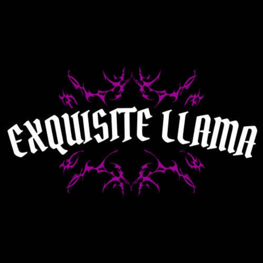 ExquisiteLlama