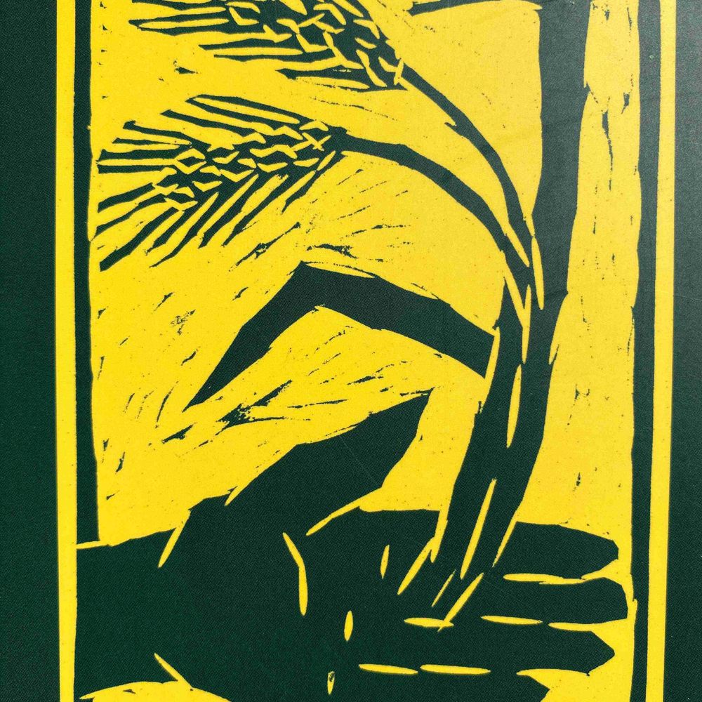 Capitalism, Nature, Socialism