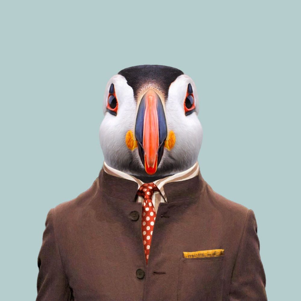 Travis Lundy
