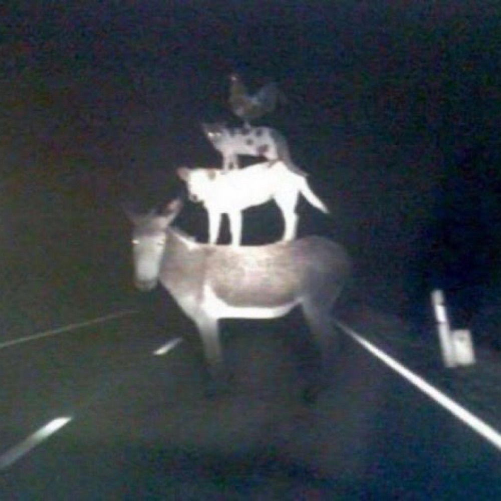 Ka