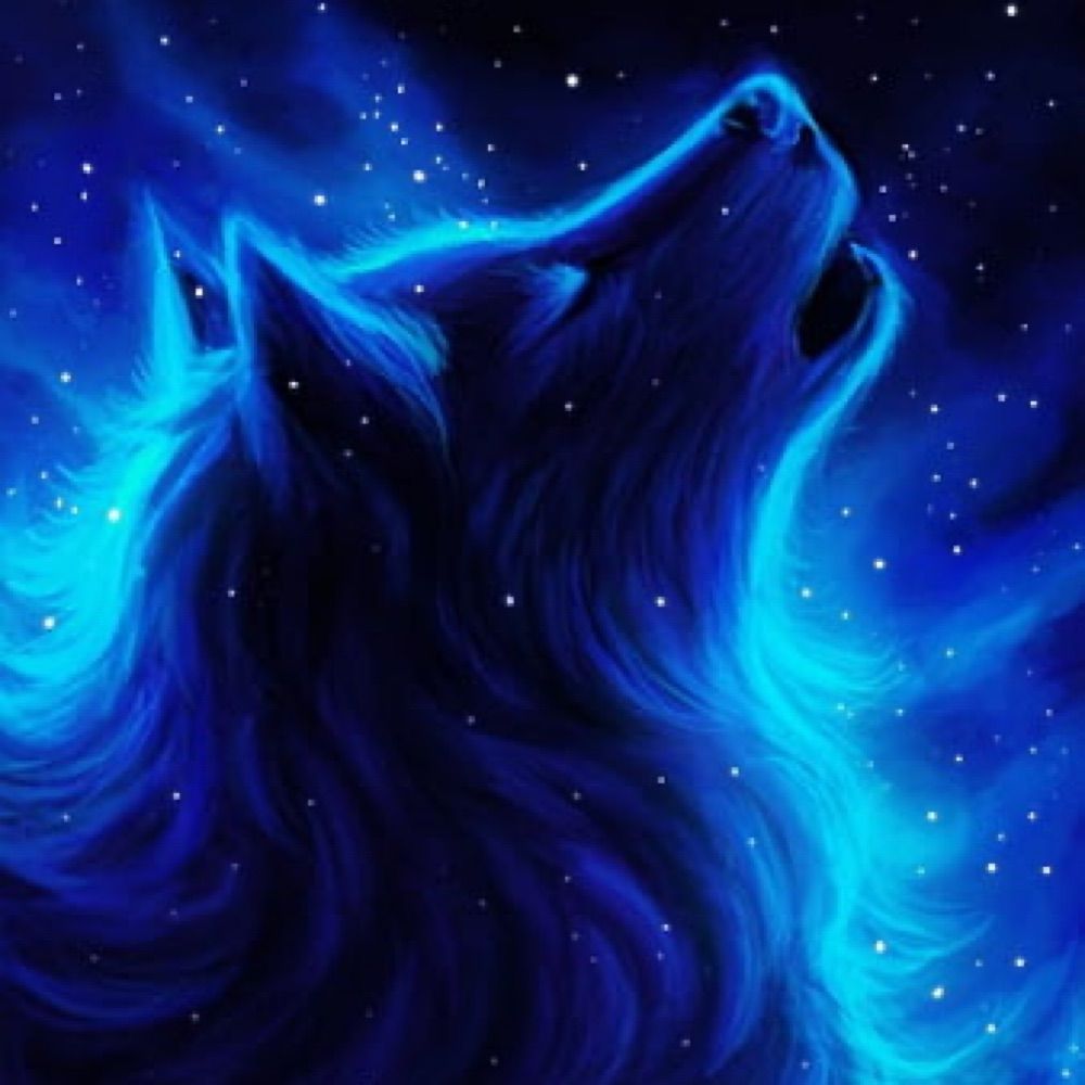 BayNightMoon wolf