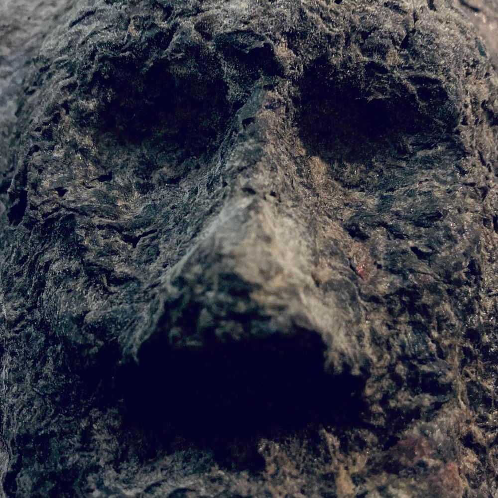 Toby L Rabone