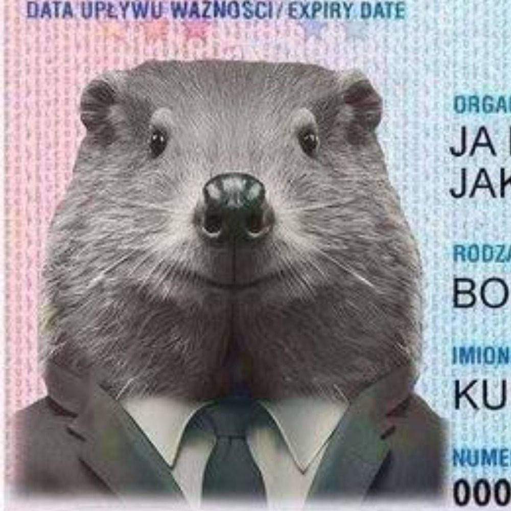 5 centimemetrů za sekundu