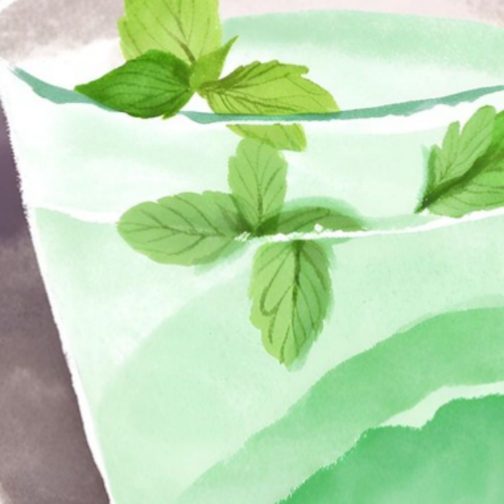 薄荷水🌿‬🫧