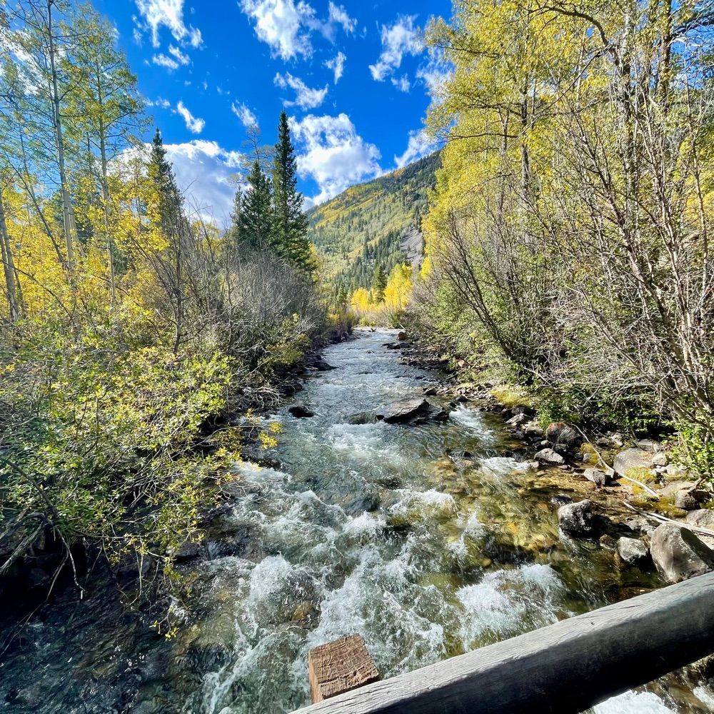 BarefootBigfoot 🟦