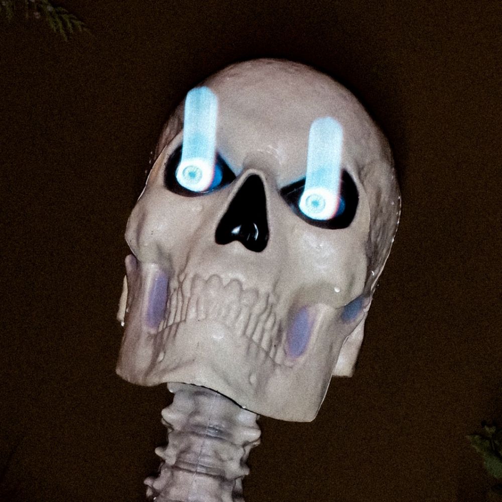 Mitch Kaiser