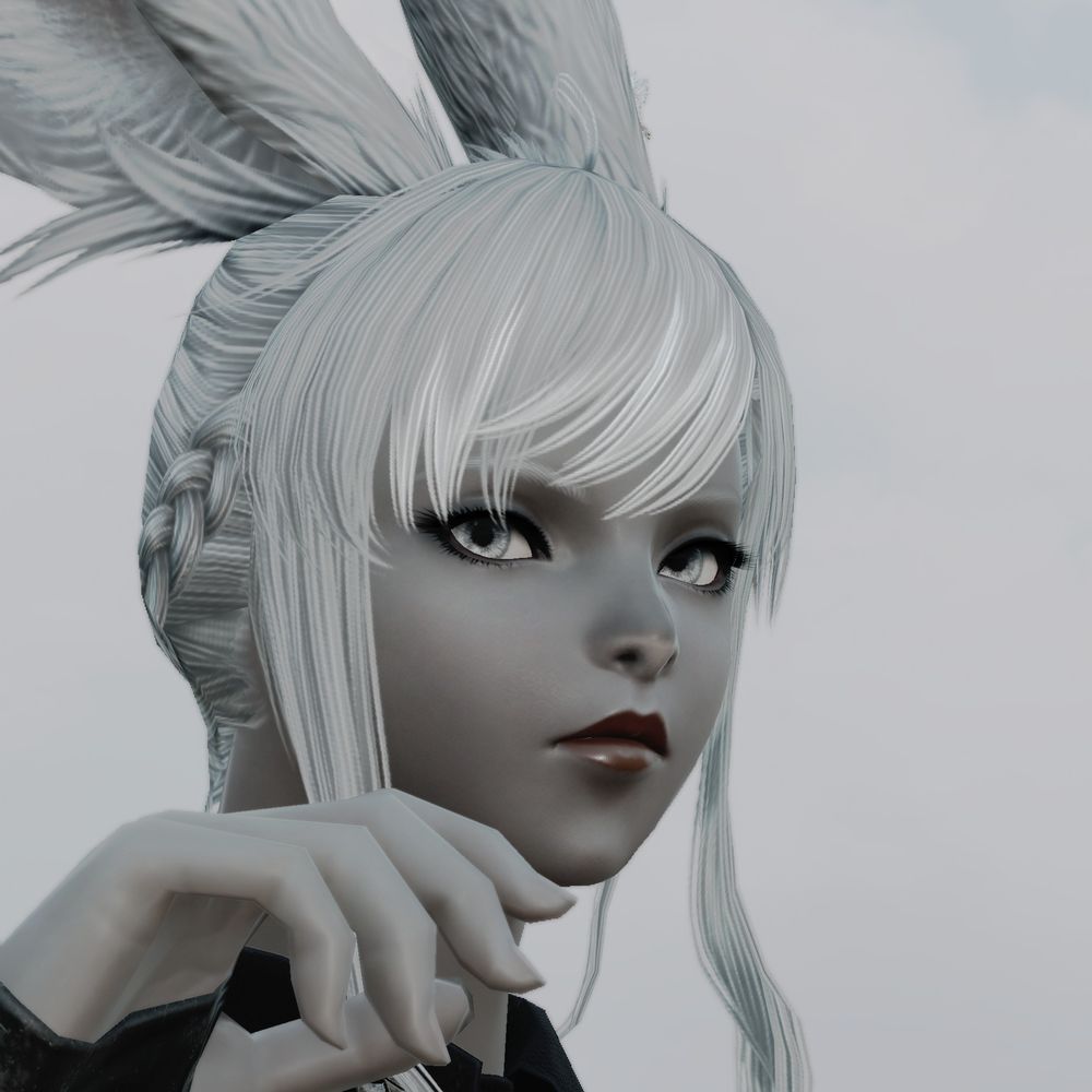 黒兎