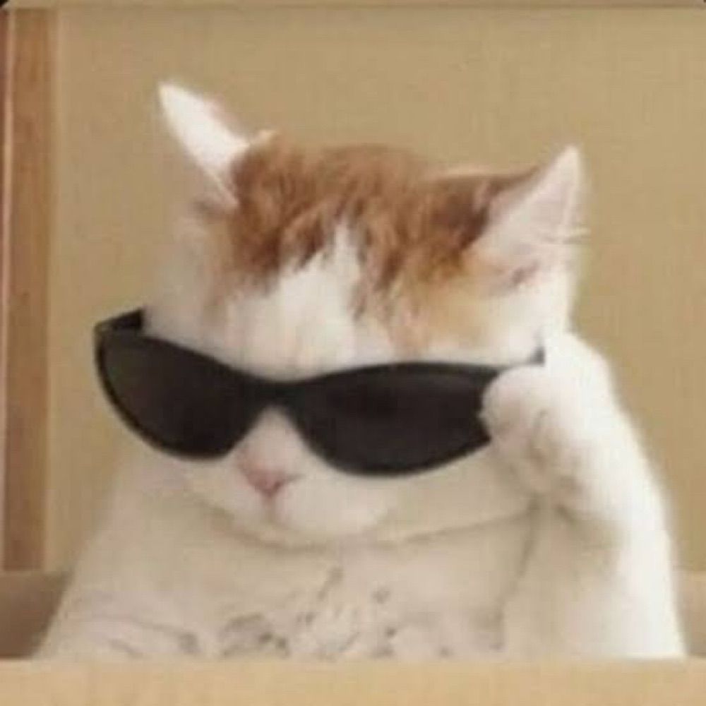 PP