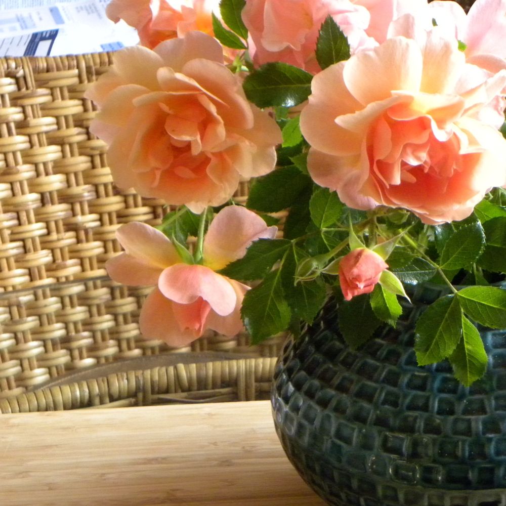 Ros Turner Photography Prints