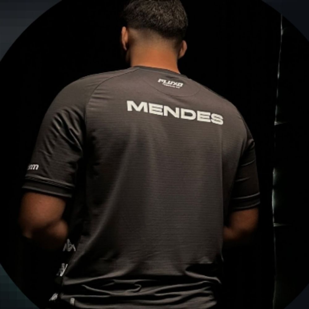 Fluxo mendes
