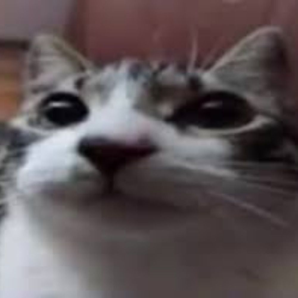 ITXDemi