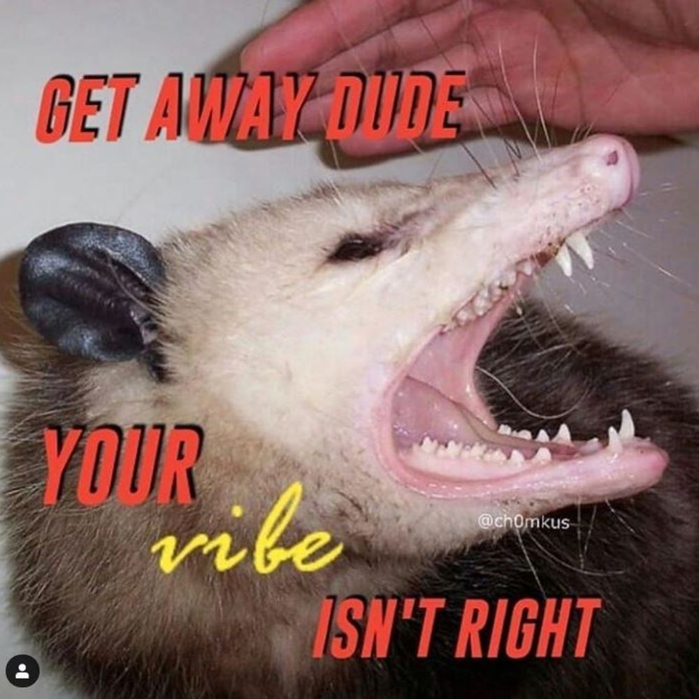 'Shley