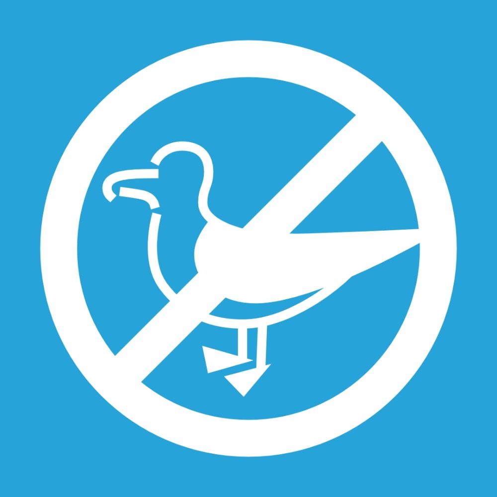 No Such Thing as a Seagull's avatar