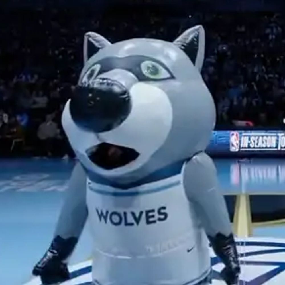 Minnesota Timberwolves