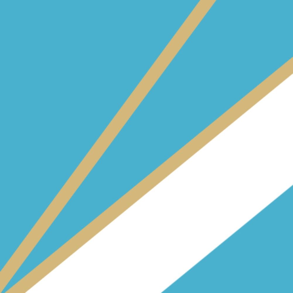 枝ゞ