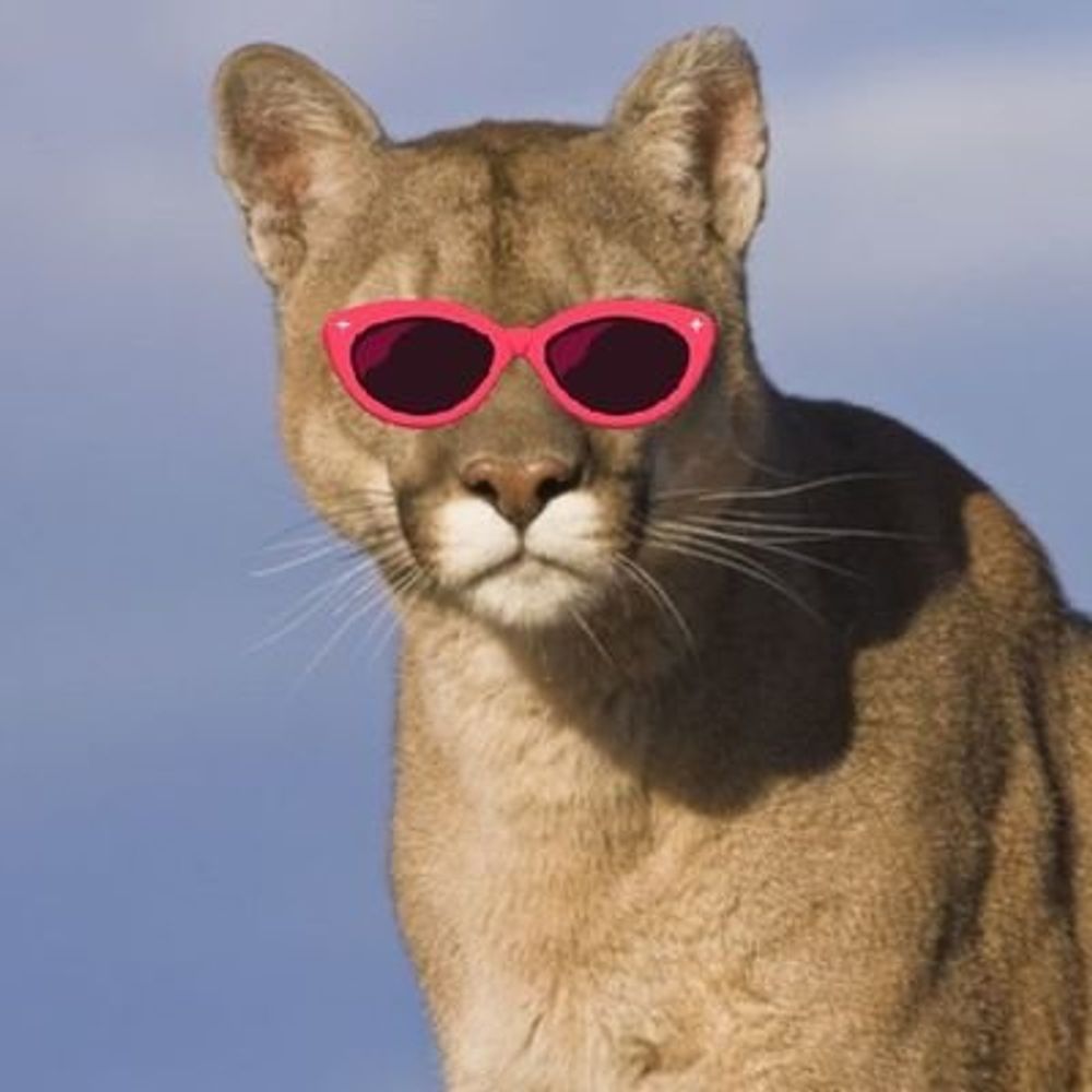 Felidae 's avatar