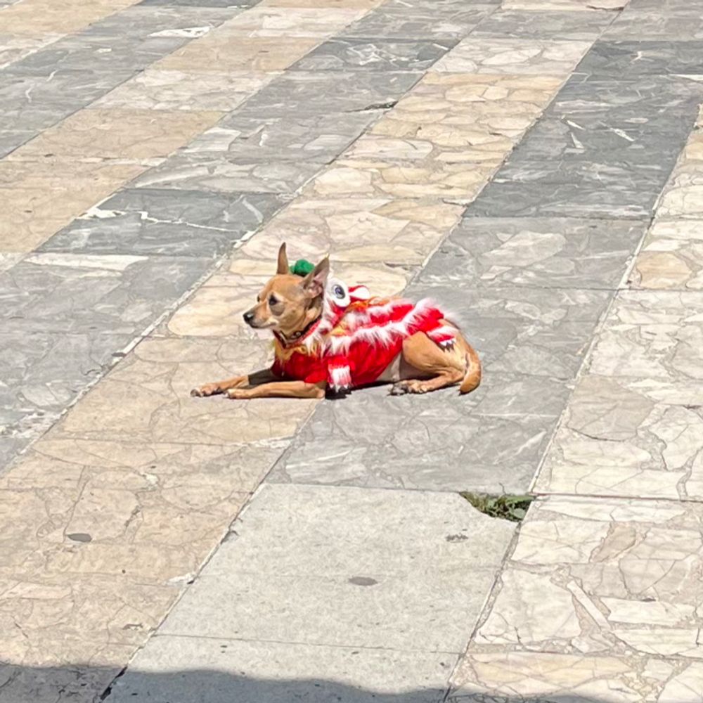 microcriticas.bsky.social