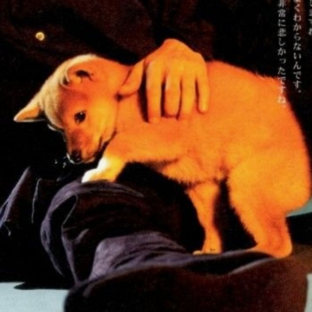 赤きなまもの