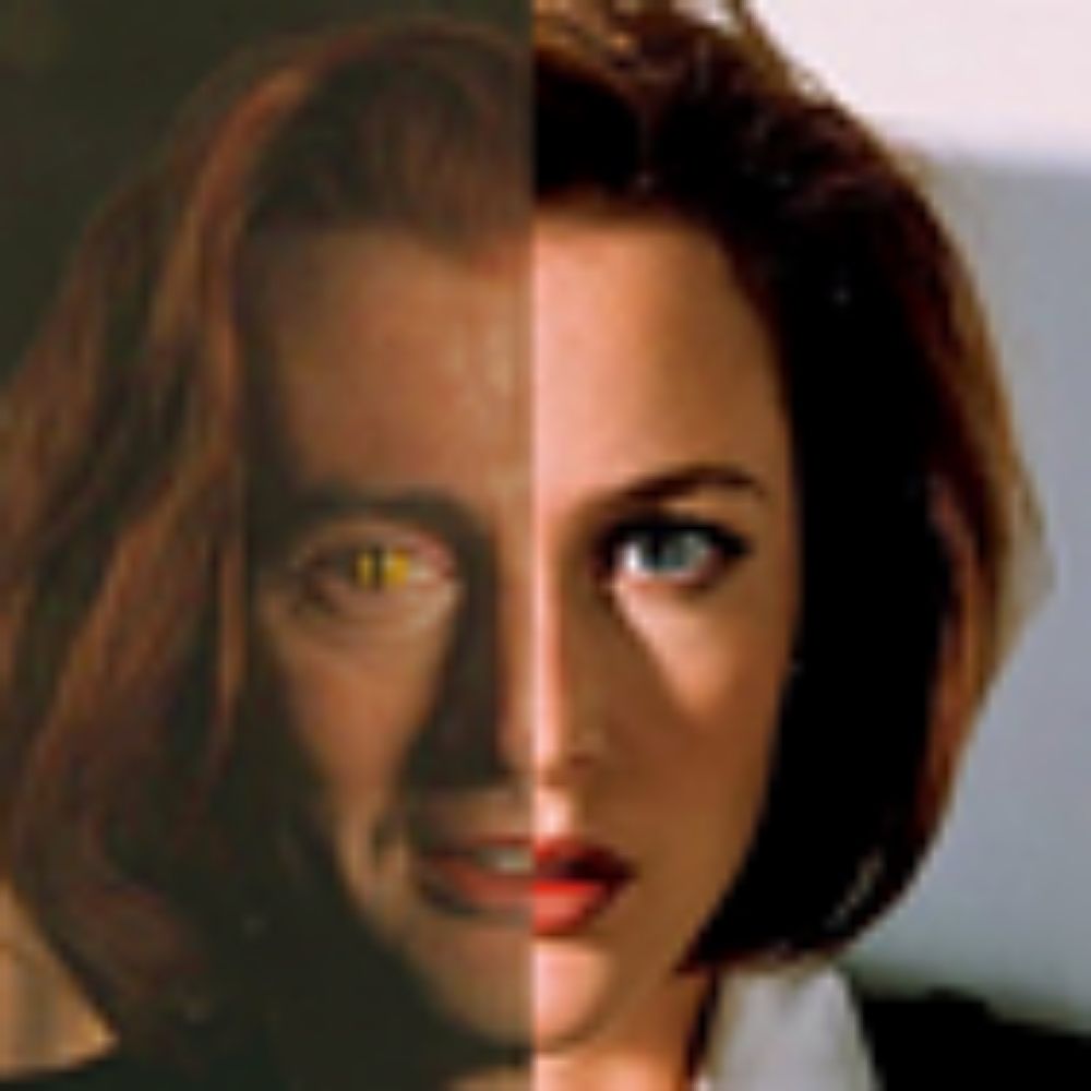 scullyphile