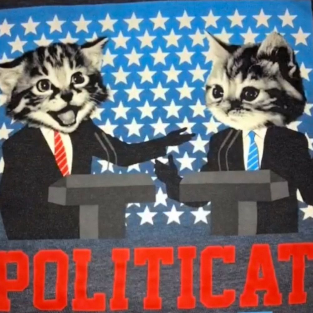 politicat2024.bsky.social on Bluesky