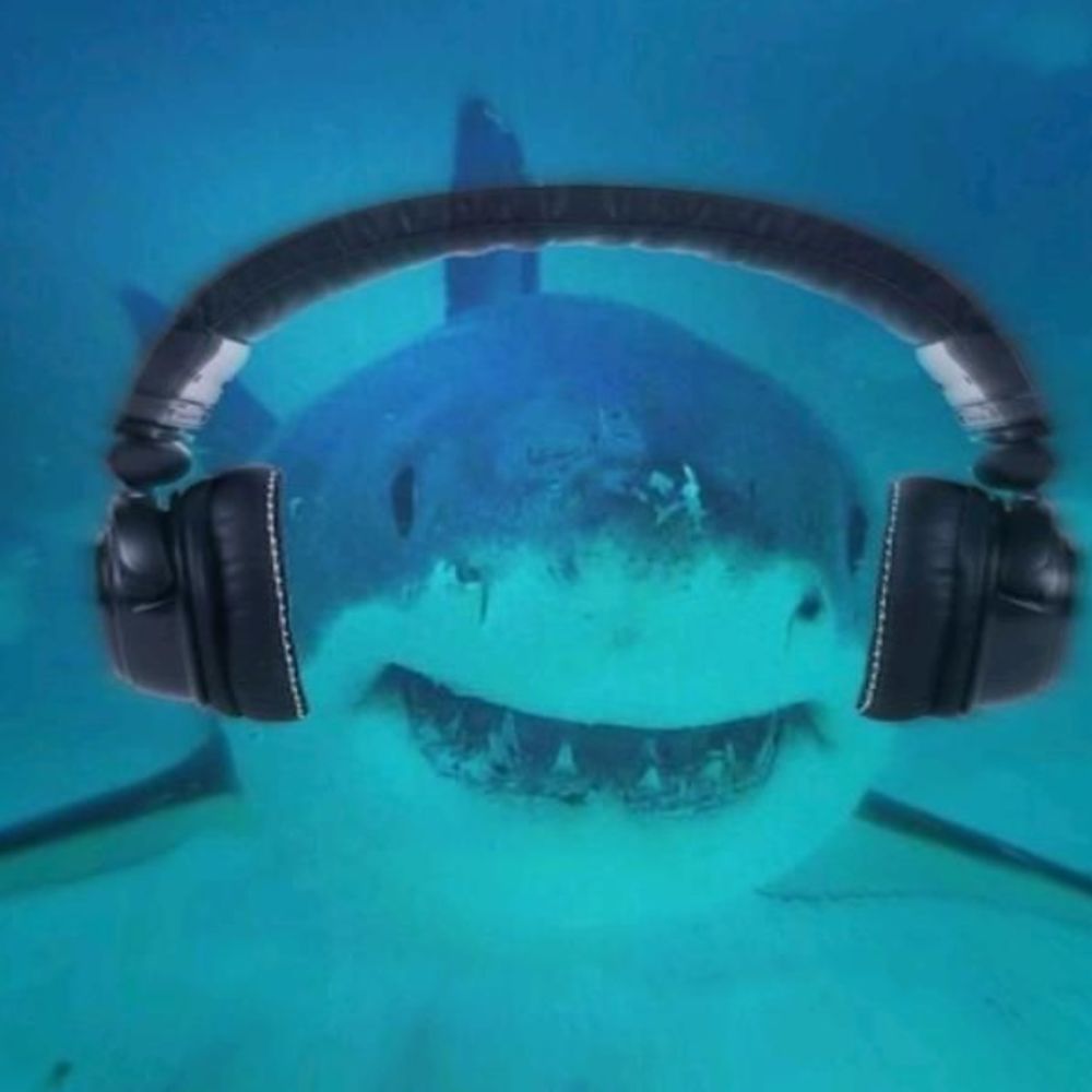 Nix 💖🦈💖