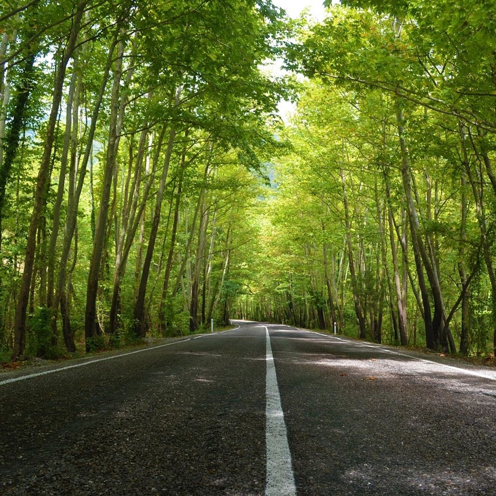 Open Road