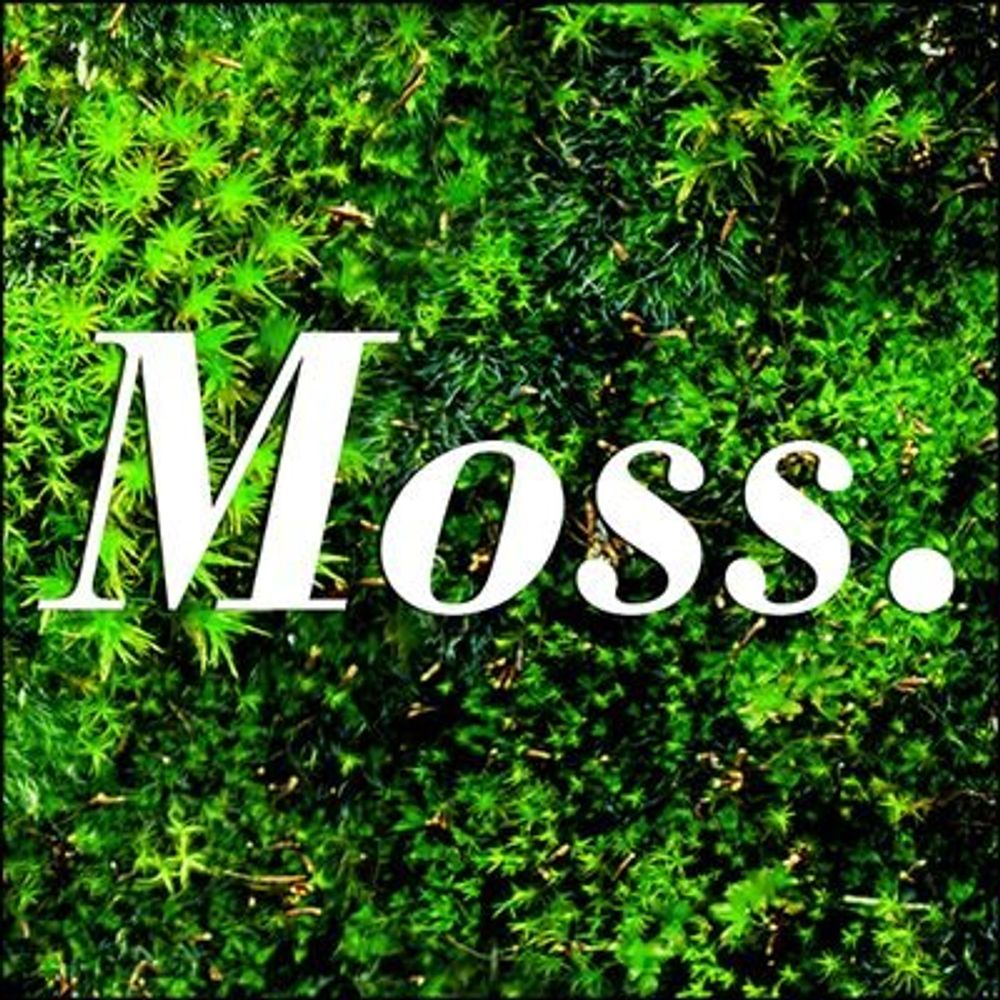 Moss