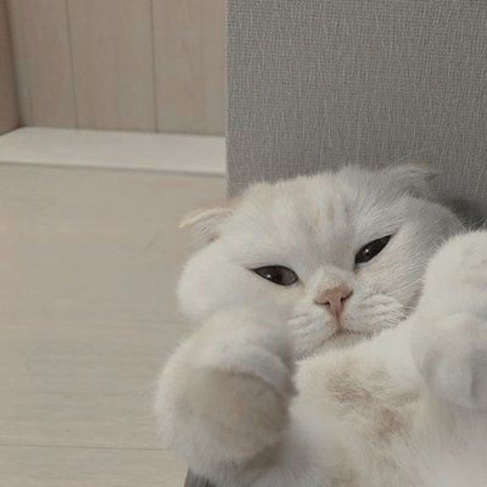 เพราะเป็นฉัน