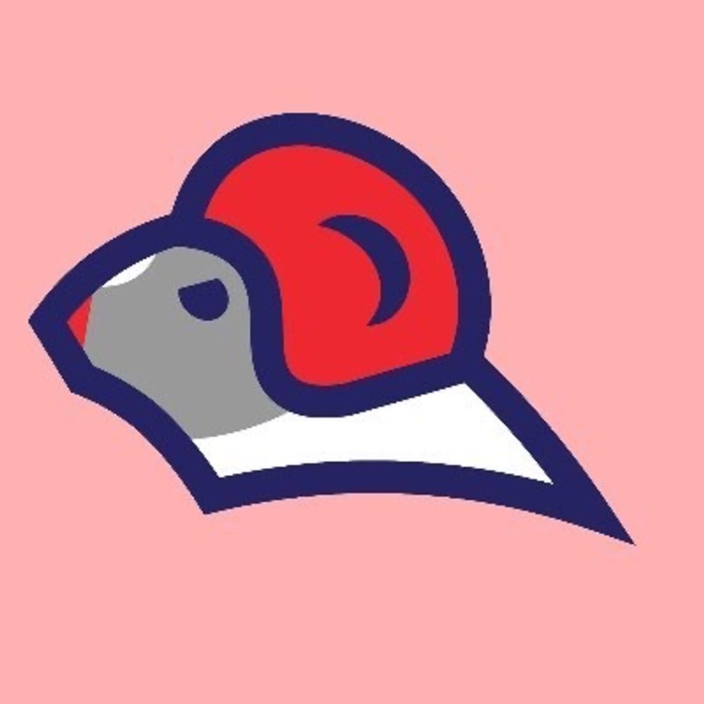 Rat Race Fursuits 's avatar