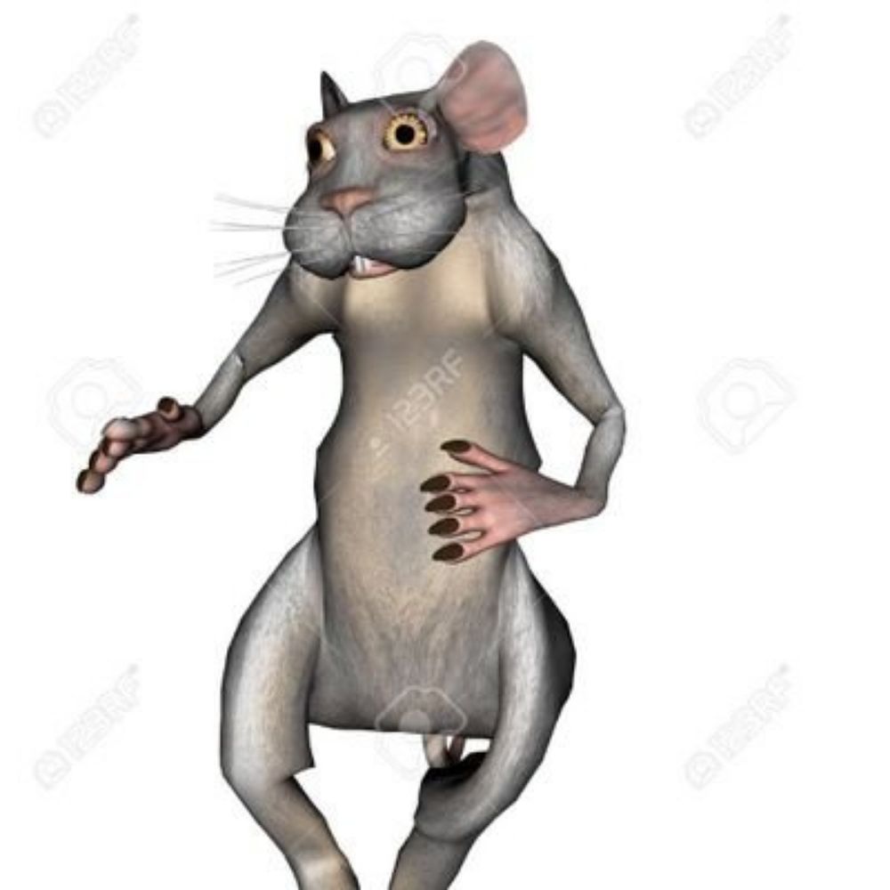 rat