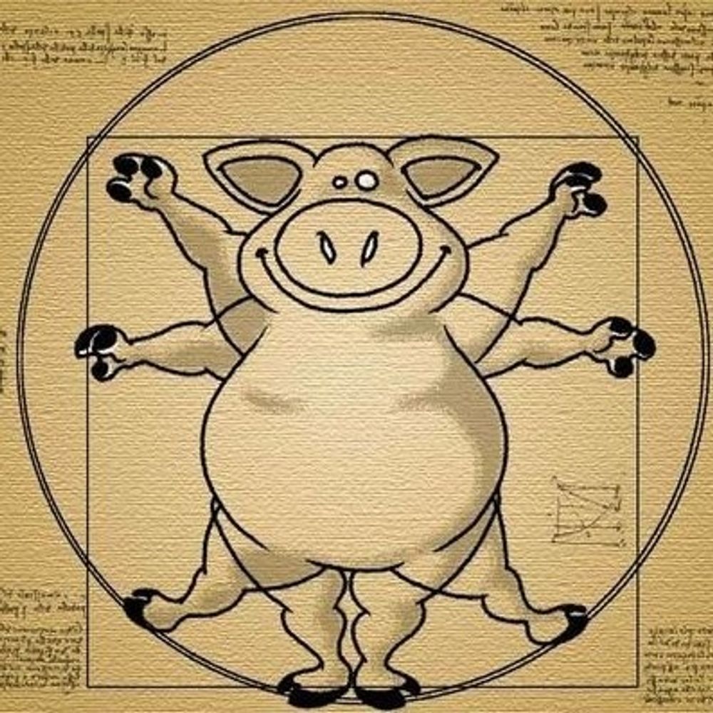 Cochonet81🐷🔞