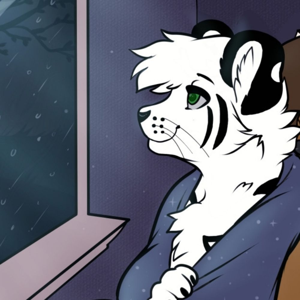 CeekayTiger