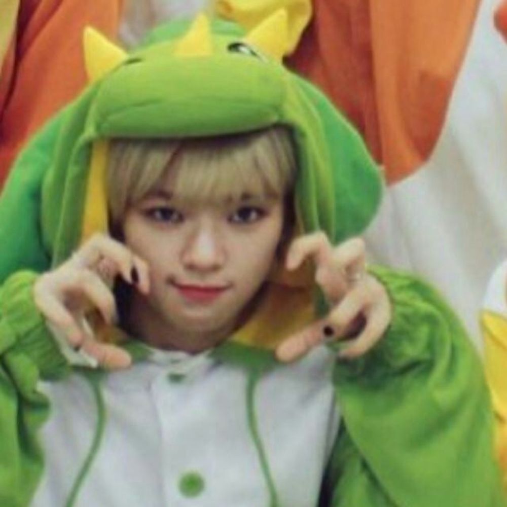 YJEYEON_knowan