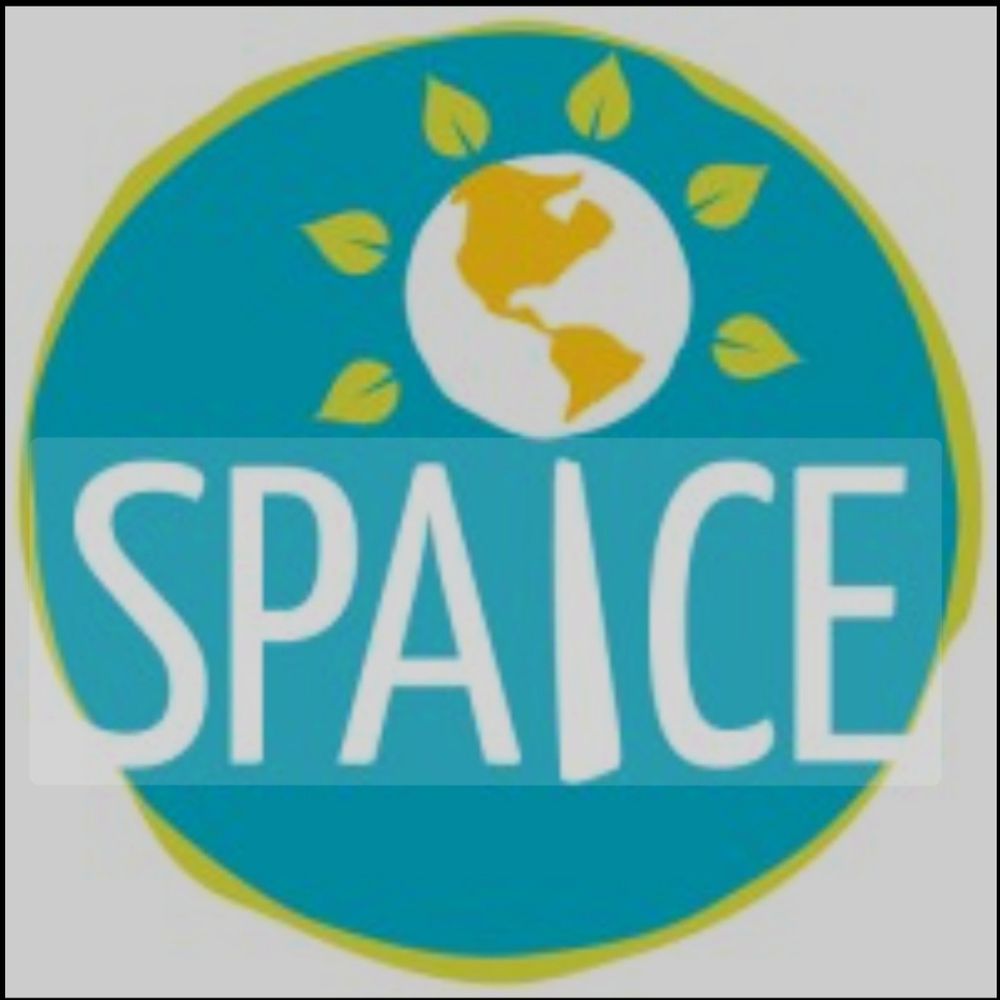 Spaice Consulting