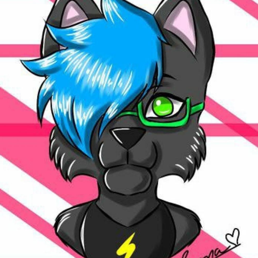 Niko Panther 🇧🇷