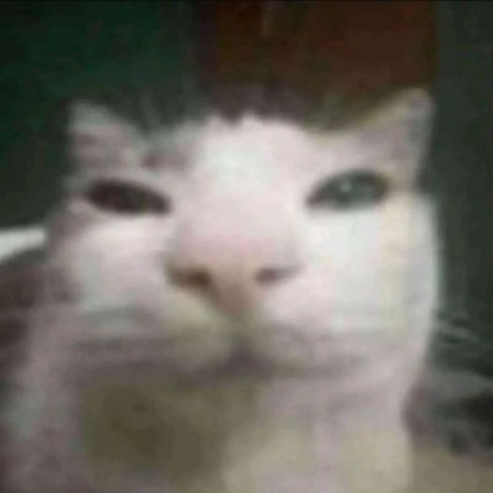 jjjakke